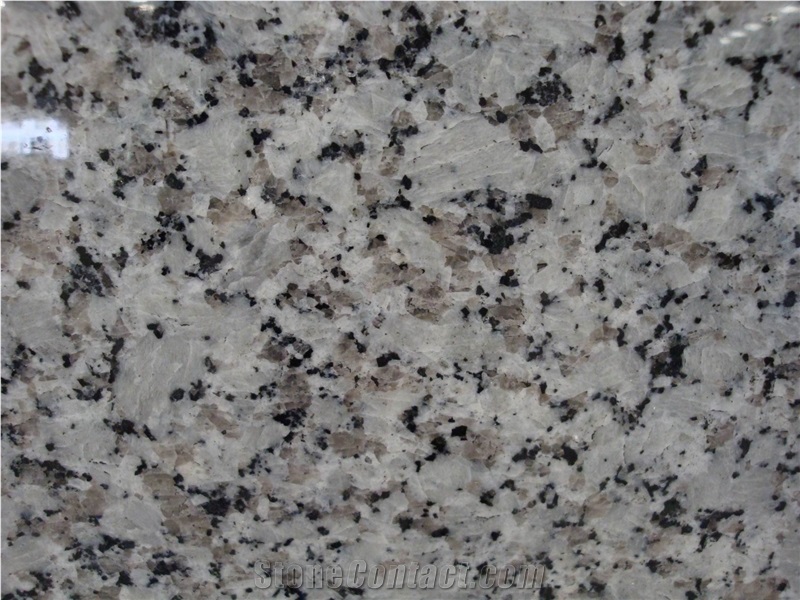 Hot Sale Natural Granite,Good Price,High Quality,Own Factory Direct G439/China Bianco Sardo/Big White Flower/Puning White Granite Slabs & Tiles & Cut-To-Size for Floor Covering and Wall Cladding