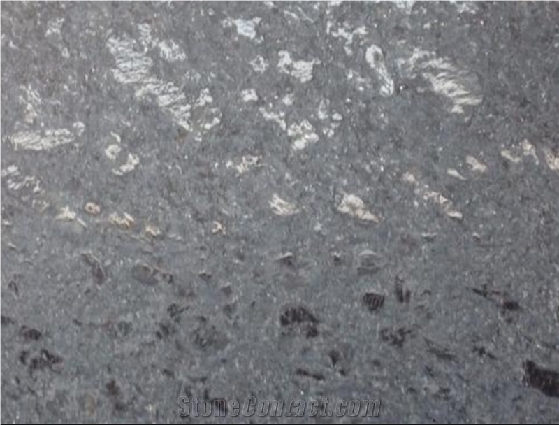 Steelgrey Granite Slabs & Tiles, India Grey Granite