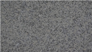Cheap Chinese Grey Granite New G602 Bianco Sardo Tiles
