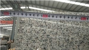China Light Grey Granite Polished Slabs G603 Granite Gangsaw Big Slabs