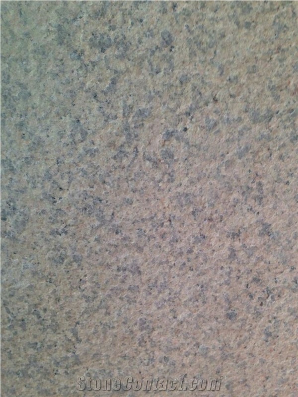 China Yellow Granite Flamed G682 Gangsaw Big Slabs