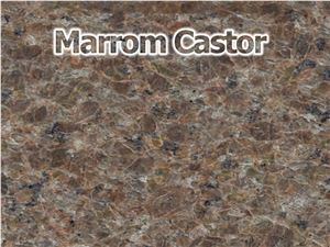 Marron Castor Granite Slabs