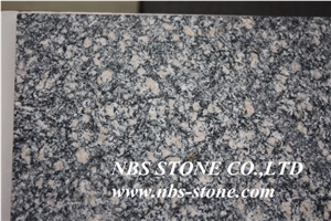 Paradiso Flower,China Grey Granite,Polished Slabs & Tiles for Wall and Floor Covering, Skirting, Natural Building Stone Decoration, Interior Hotel,Bathroom,Kitchentop,Villa, Shopping Mall Use