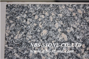 Paradiso Flower,China Grey Granite,Polished Slabs & Tiles for Wall and Floor Covering, Skirting, Natural Building Stone Decoration, Interior Hotel,Bathroom,Kitchentop,Villa, Shopping Mall Use
