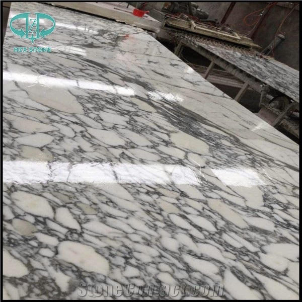 Arabescato,Arabescato Carrara Marble Slabs & Tiles, Italy White Marble, White Marble Slabs, White Marble Flooring.