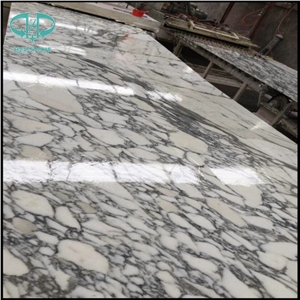 Arabescato,Arabescato Carrara Marble Slabs & Tiles, Italy White Marble, White Marble Slabs, White Marble Flooring.