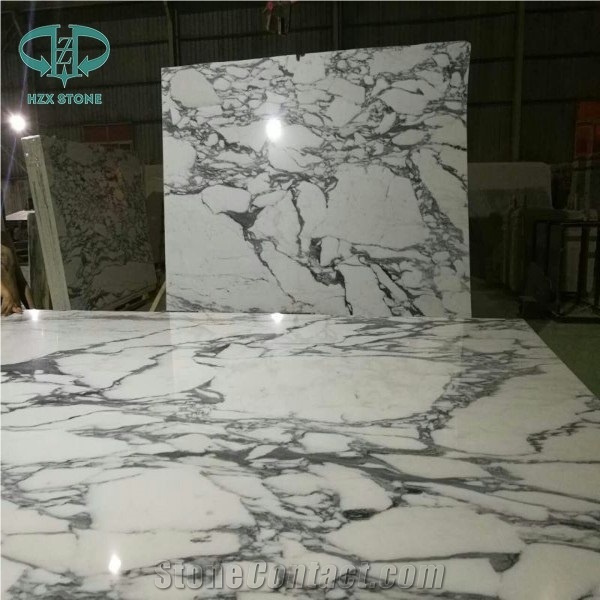Arabescato Venato, Arabescato Vagli, Arabescato Corchia Marble, Arabescato White Marble for Countertops, Wall Tiles, Flooring Tile, Italy White Marble, Imported Marble, White Color Tiles&Slabs