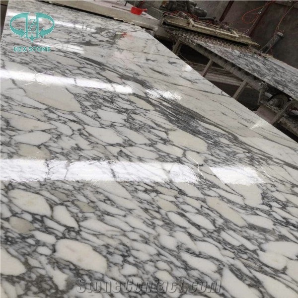 Imported Marble with Black Veins, Good Quality Arabescato White Marble Slabs, Wall Tiles, Flooring Tile, White Color Tiles&Slabs, White Polished Marble Floor Tiles, Wall Tiles