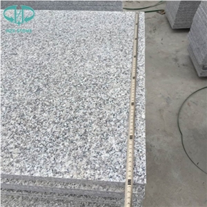 Zp Light Grey/Bianco Sardo/New G603/Silver Grey/Seasame White Polished/Flamed Granite Tiles for Flooring/Walling