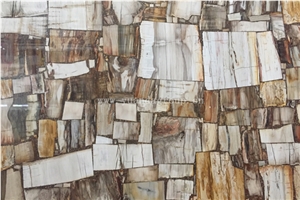 YUANDA Petrified Wood Fossil Semiprecious Stone Slabs