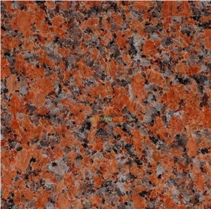 G562 Granite, Guangxi Red,Maple Red Granite Maple Leaf Red Granite