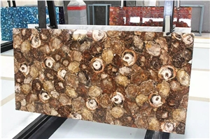 Natural Petrified Wood Stone Slab