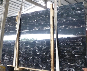 Building Material Silver Dragon Marble Slabs for Tiles/Wall Tiles/Countertops/Vanity Tops