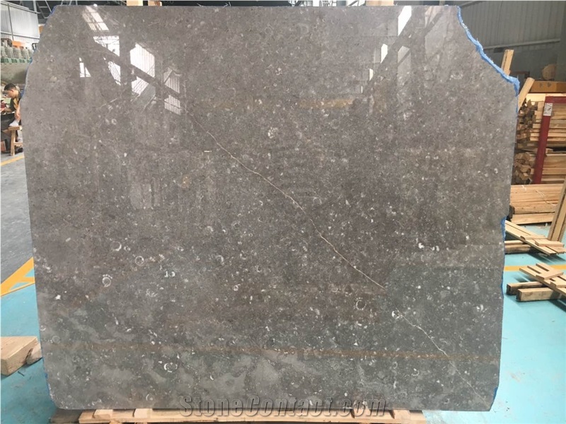 Conch Grey Marble Slabs,Shell Grey Marble Slabs, Italy Grey Marble Slabs