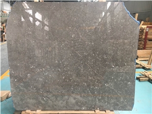 Conch Grey Marble Slabs,Shell Grey Marble Slabs, Italy Grey Marble Slabs