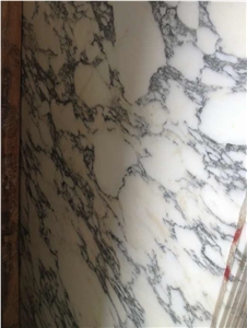 Arabescato Corchia Marble Slabs & Tiles,White Marble,Cut-To-Size Tiles,Project Tiles,Arabescato Carrara Marble Slabs & Tiles, Italy White Marble ,Statuario White Marble,Good Quality Arabescato White