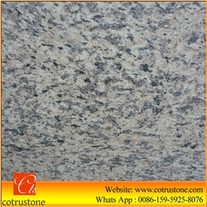 Cheapest Price High Quality Chinese Natural Polished Tiger Skin White Granite Slabs & Tiles, Tiger Skin Tiles, Tiger Skin White Granite Slab, Tiger Skin White Granite,Tiger Skin White