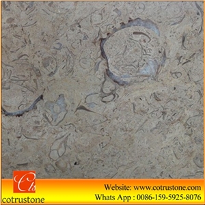 China Beige Marble Slabs & Tiles, Feibei Flower Marble Slabs,China Feibei Flower Marble Slab, China Beige Marble,Feibei Flower Marble for Wall Covering,Flooring,Cut-To-Size,China Polished Feibei