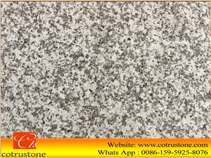 G439 Granite Slabs & Tiles, China Grey Granite,Light Grey Granite,Big Flower Granite,Chinese Grey Granite Tiles & Slabs,Polished G439 Granite Slab