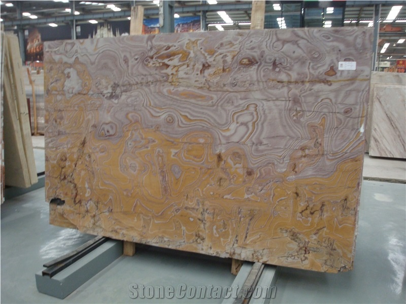 Exclusive Piccasso Quartzite/ Yellow Quartzite Slab/ Pakistan Piccasso Quartzite for Wall Tiles