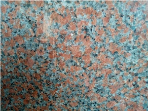 G562 Maple Red Granite Slabs & Tiles, China Red Granite