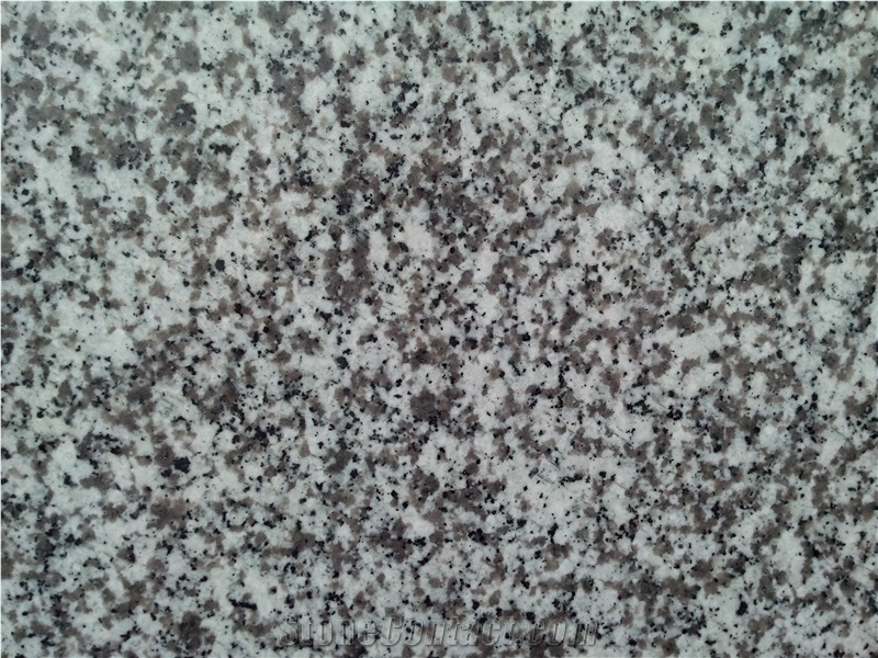 G655 White Granite, Tongan White Granite Slabs & Tiles & Cut to Size for Projects