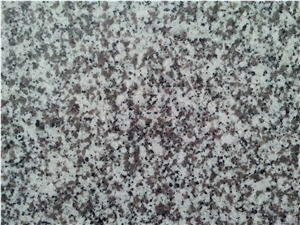 G655 White Granite, Tongan White Granite Slabs & Tiles & Cut to Size for Projects