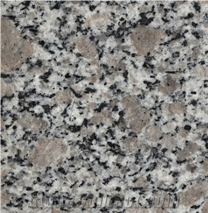 The Cheapest Chinese G383 Granite Tiles,Step,Slab