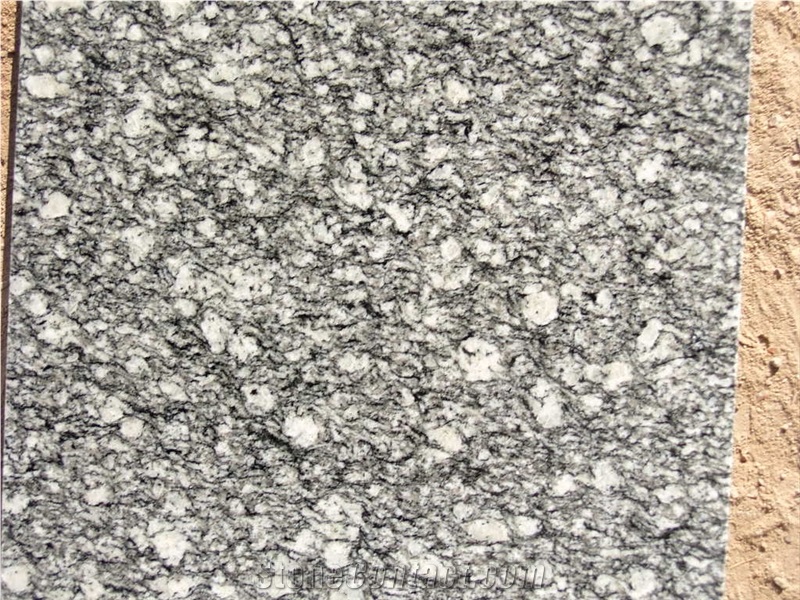 White Oyster, Sheet Polished, Chinese Granite Tiles & Slabs, Use for Floor, Wall and Pool Covering, Polished, Honed,Swan Cut