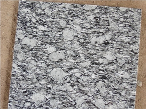 White Oyster, Sheet Polished, Chinese Granite Tiles & Slabs, Use for Floor, Wall and Pool Covering, Polished, Honed,Swan Cut