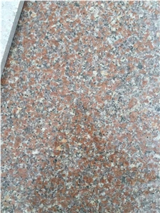 Polished G363 Natural Stone Granite Slab Tile,Rose Pink,Shrimp Pink, Strawburry Pink,Wild Rose, Paving Stone in China Stone Market