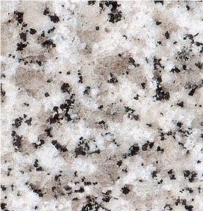 Grigio Pearl, Granite Wall Covering, Granite Floor Covering, Granite Tiles & Slabs, Granite Skirting, Spain White Granite