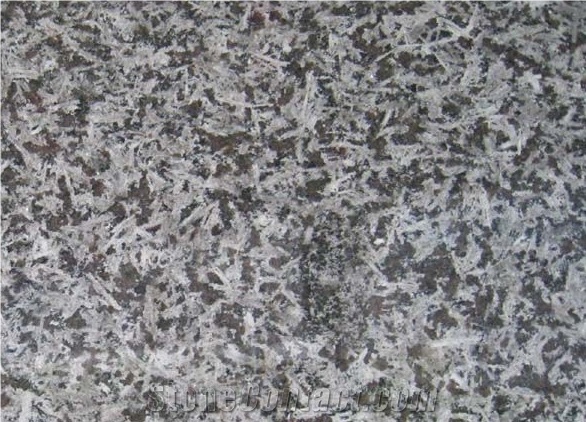 Saint Louis Monchique St. Louis, Granite Floor Covering, Granite Slabs & Tiles, Granite Flooring, Granite Floor Tiles, Granite Skirting, Portugal Brown Granite
