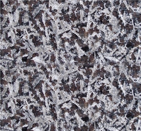 Saint Louis Monchique St. Louis, Granite Floor Covering, Granite Slabs & Tiles, Granite Flooring, Granite Floor Tiles, Granite Skirting, Portugal Brown Granite