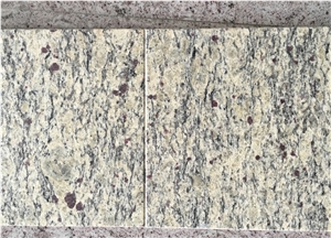 Brazil Material New Samoa White Granite Tiles &Slabs/Countertops/Project Tiles