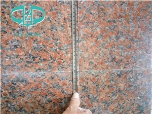 China Polished G562 Maple Red Granite Tile,Red Granite 2cm 3cm Thickness,Polished Granite Floor Tiles Wall Tiles
