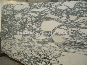 Bianco Arabescato Marble Slabs/Italy Arabescato Carrara Marble Slab&Tiles/Italy White Marble