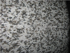China Best Priced Granite G439 Vanity Tops with Single Sink