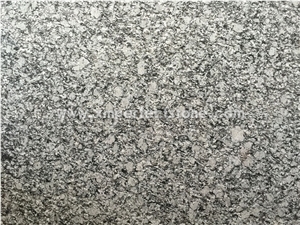 China Spray White Granite Slabs 1.8/ 2 /3 cm / G423 Sea Wave Spray White Granite / Granite Cut-To-Size 600x300