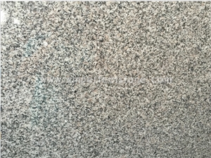 Polished G623 Granite Gangsaw Big Slab & Customized/China Bianco Sardo Granite for Wall Covering&Wall Cladding/Counter White Granite for Flooring/A Grade