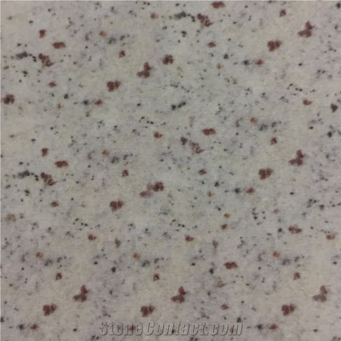 Bianco Regina Granite Slabs & Tiles
