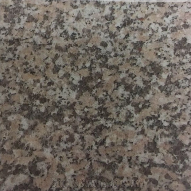G646 Granite Slabs Tiles