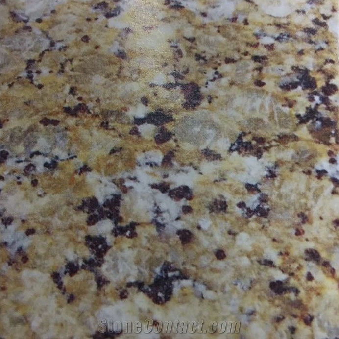 Golden Butterfly Granite Slabs Tiles Brazil