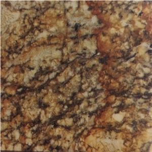 Golden Silver Granite Slabs Tiles