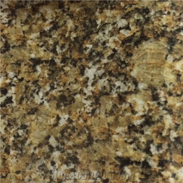 Kenoran Sage Green Granite Slabs Tiles
