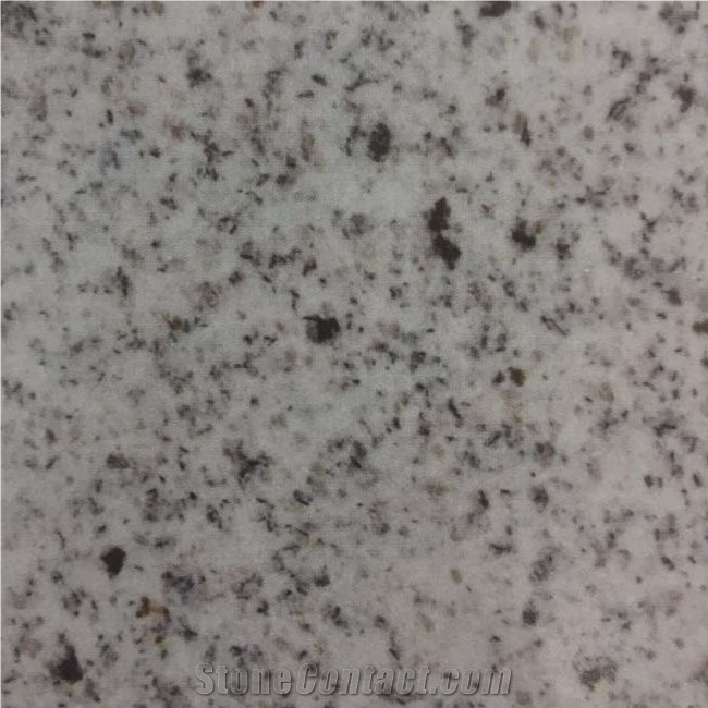 Laizhou Sesame White Granite Slabs Tiles, China Grey Granite