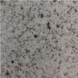 Laizhou Sesame White Granite Slabs Tiles, China Grey Granite