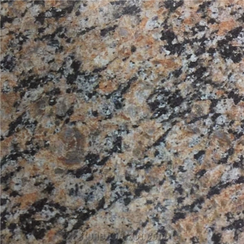 Polychrome Granite Slabs Tiles Canada