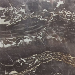 Silver Dragon Black Marble Slabs Tiles, China Black Marble
