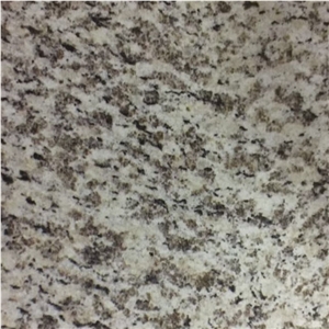 Tiger Skin Wither Granite Slabs Tiles